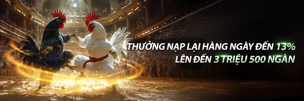Chương trình Đối tác Raybet 2026