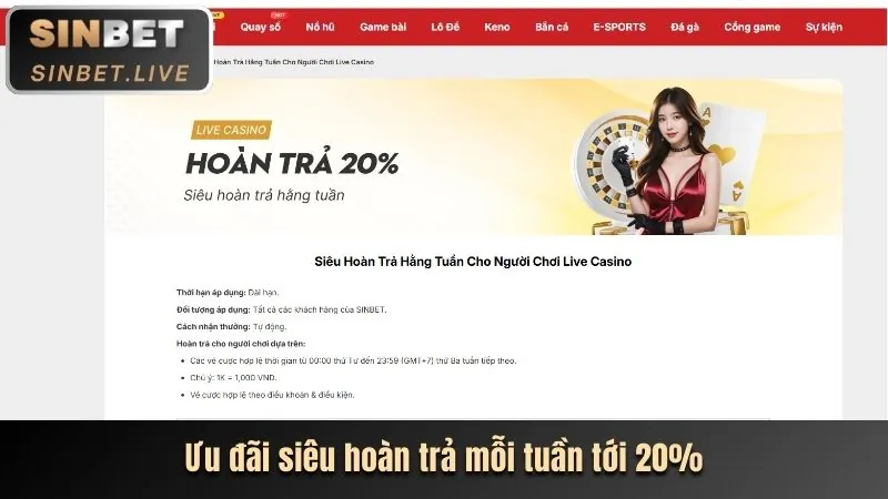 Ưu đãi hoàn trả cược hàng ngày